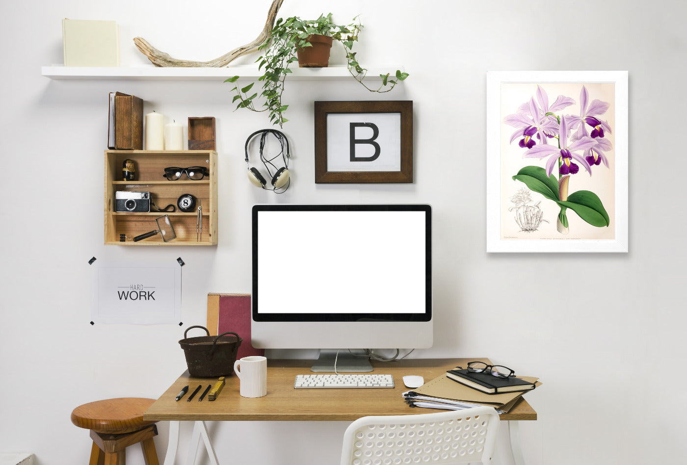 Fitch Orchid Cattleya Superba Splendens by New York Botanical Garden Framed Print - Americanflat