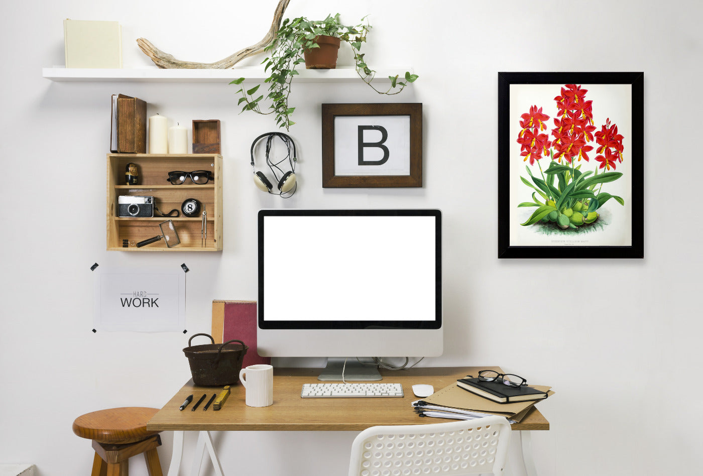 Fitch Orchid Epidendrum Vitellinummajus by New York Botanical Garden Framed Print - Americanflat