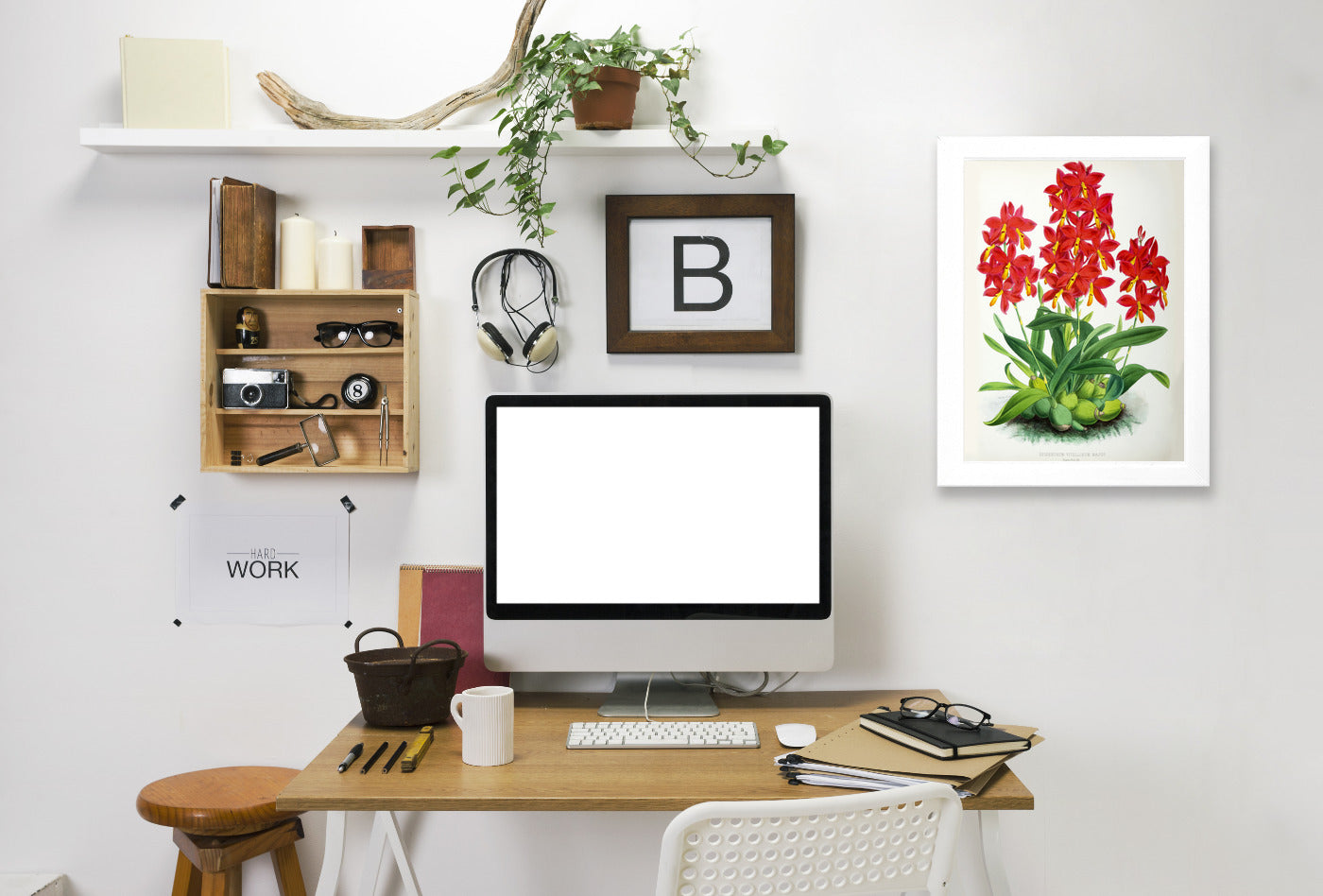 Fitch Orchid Epidendrum Vitellinummajus by New York Botanical Garden Framed Print - Americanflat