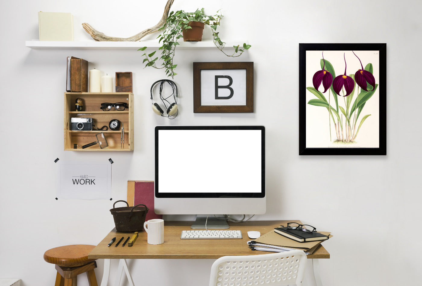 Fitch Orchid Masdevallia Harryana Atrosanguinea by New York Botanical Garden Framed Print - Americanflat