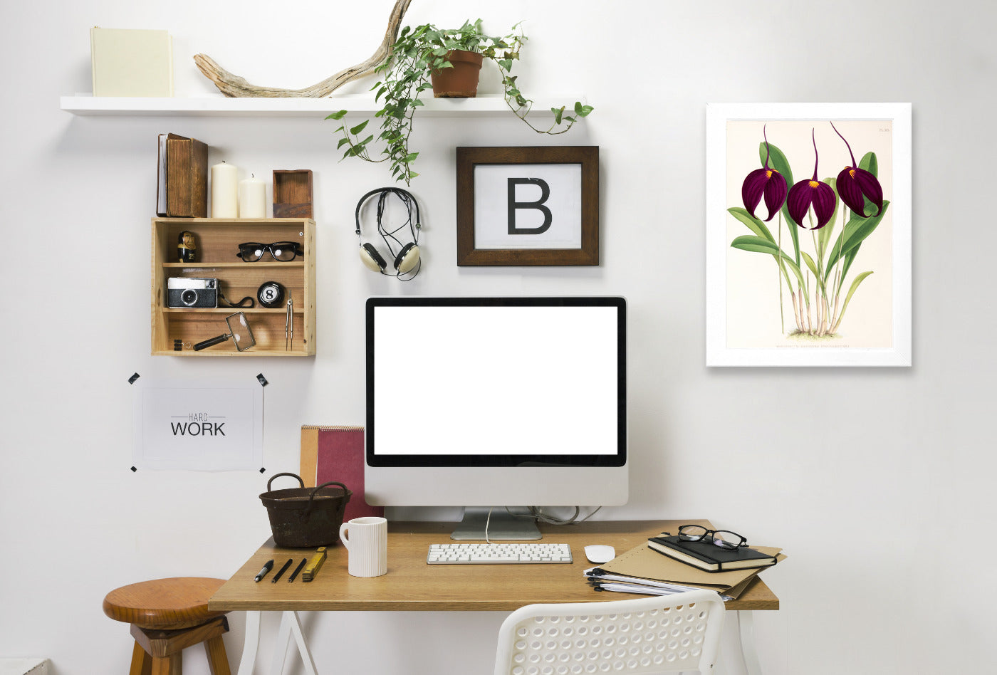 Fitch Orchid Masdevallia Harryana Atrosanguinea by New York Botanical Garden Framed Print - Americanflat