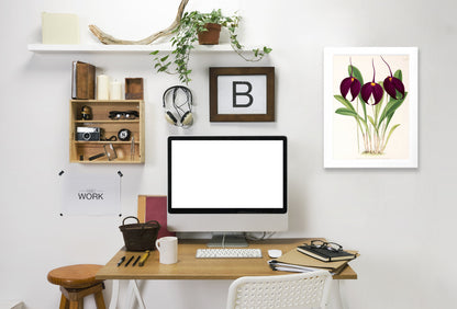 Fitch Orchid Masdevallia Harryana Atrosanguinea by New York Botanical Garden Framed Print - Americanflat