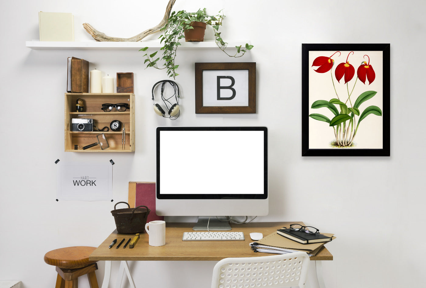 Fitch Orchid Masdevalliaignea by New York Botanical Garden Framed Print - Americanflat
