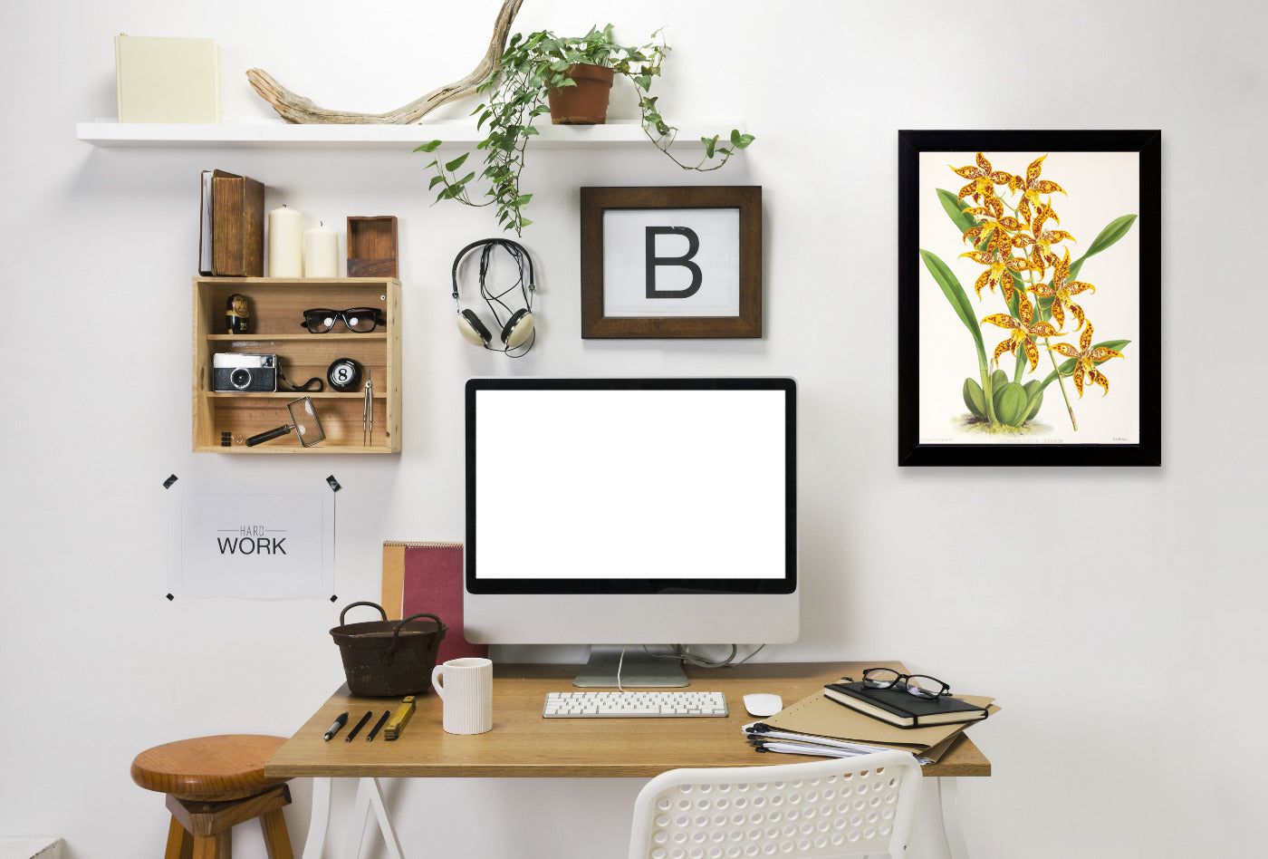 Fitch Orchid Odontoglossum Leeanum by New York Botanical Garden Framed Print - Americanflat