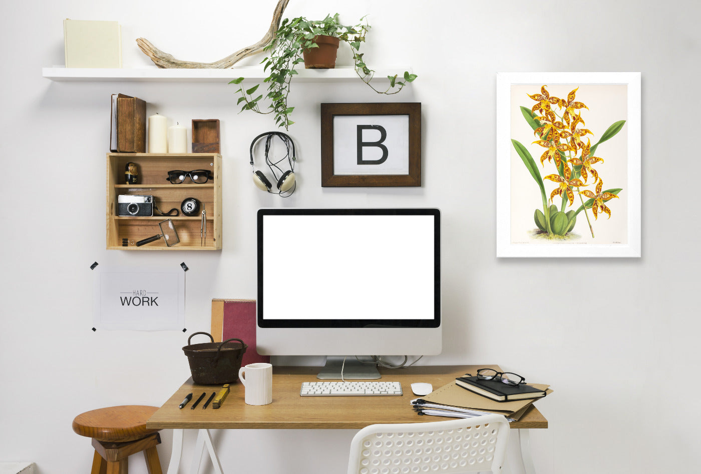 Fitch Orchid Odontoglossum Leeanum by New York Botanical Garden Framed Print - Americanflat