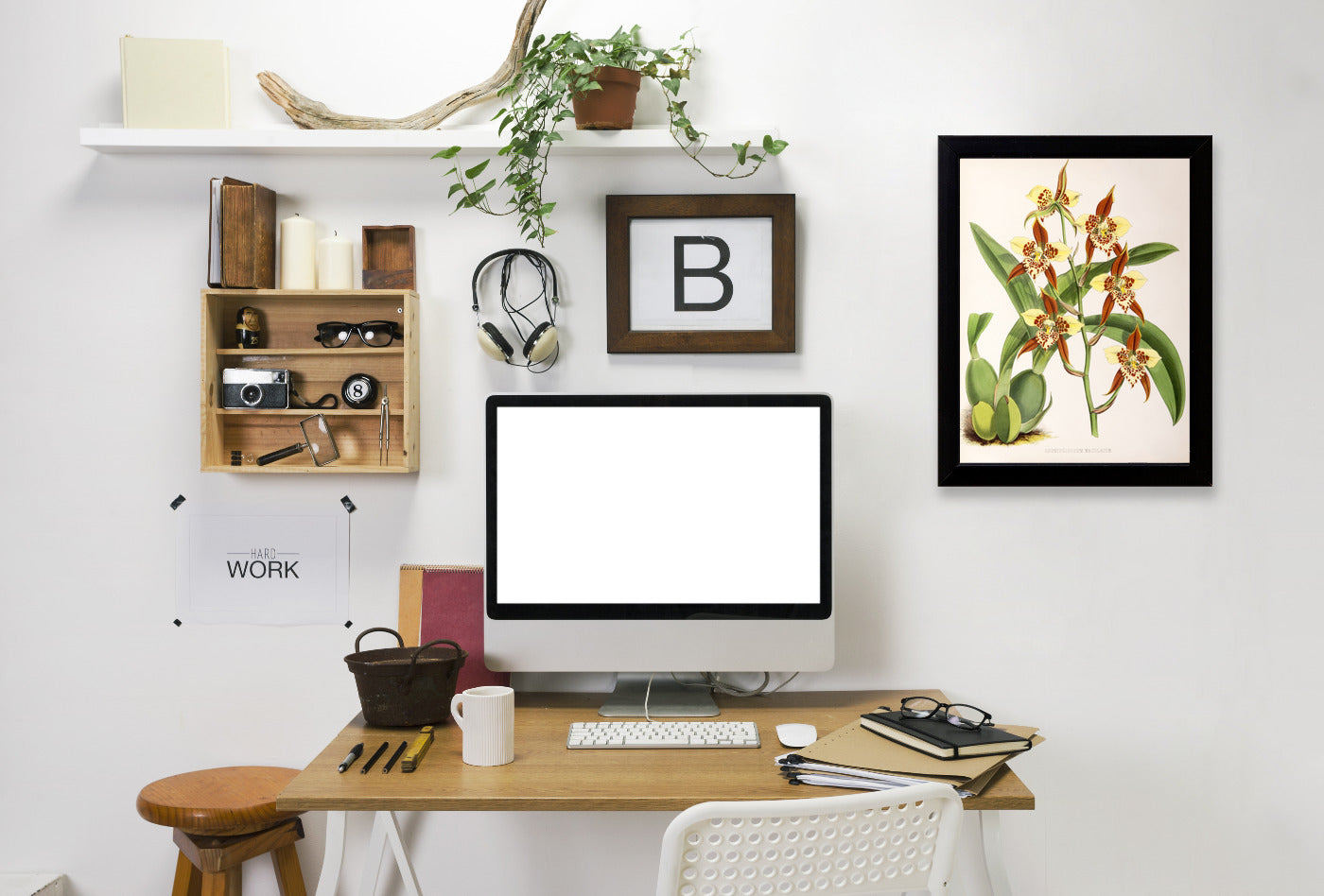 Fitch Orchid Odontoglossum Maculatum by New York Botanical Garden Framed Print - Americanflat