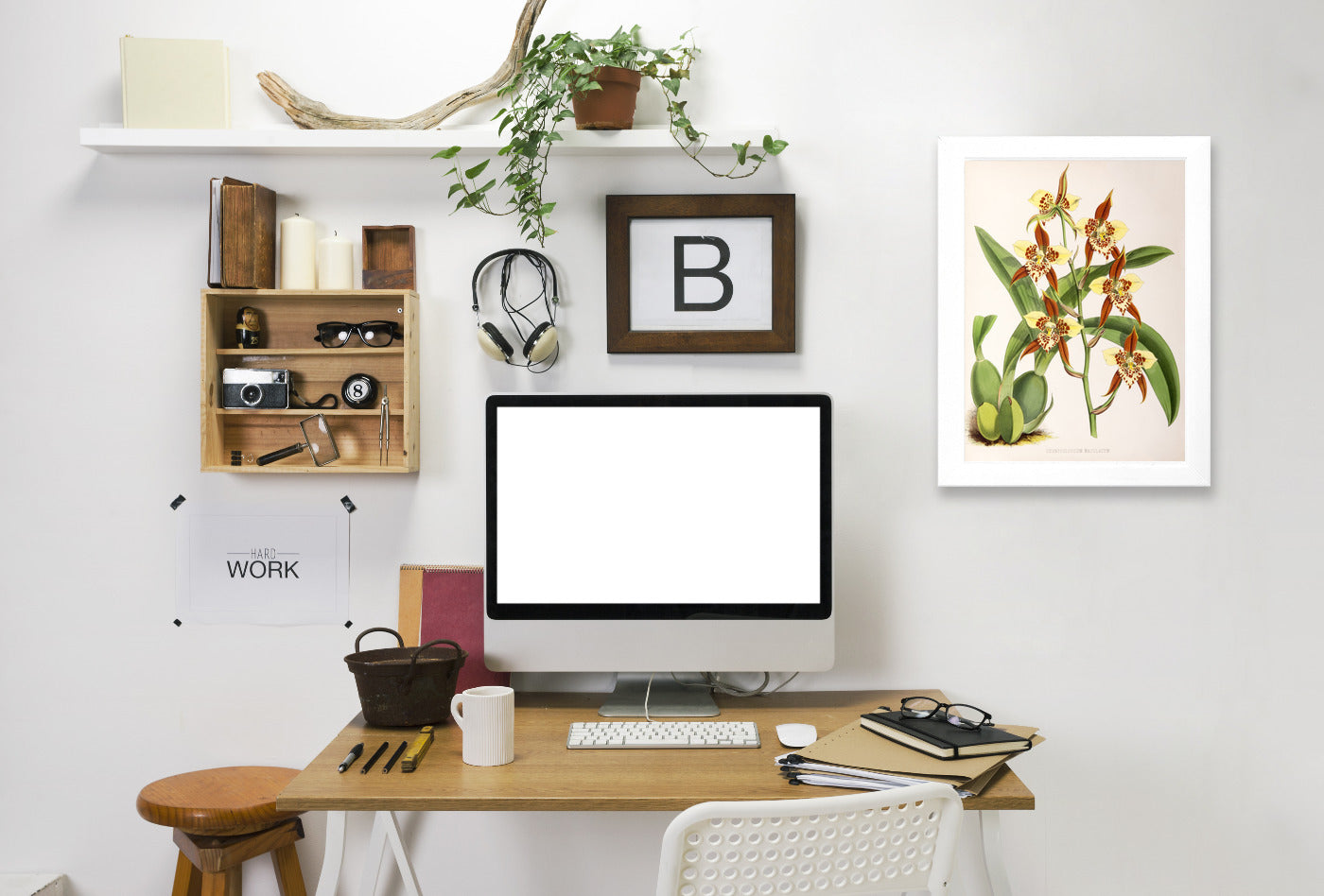 Fitch Orchid Odontoglossum Maculatum by New York Botanical Garden Framed Print - Americanflat