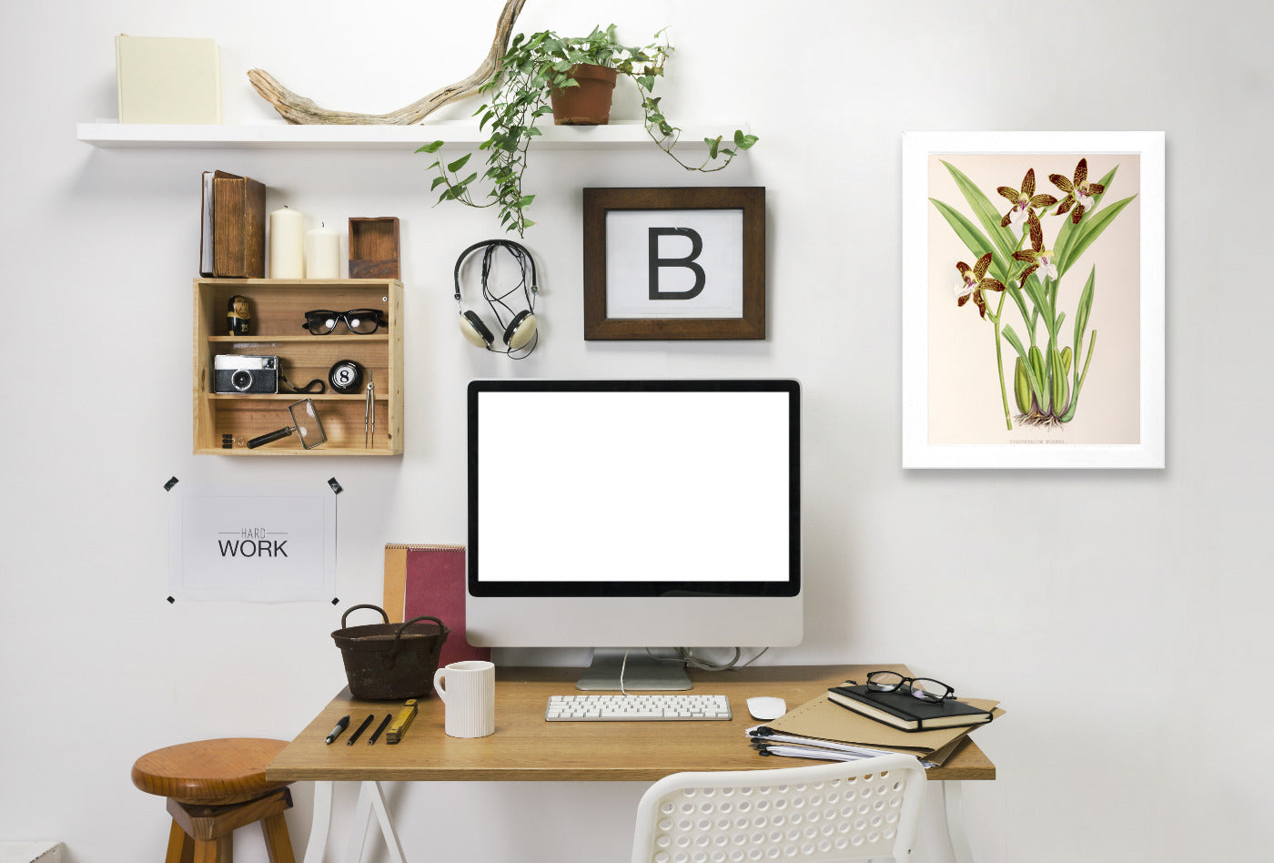 Fitch Orchid Zygopetalum Burkei by New York Botanical Garden Framed Print - Americanflat