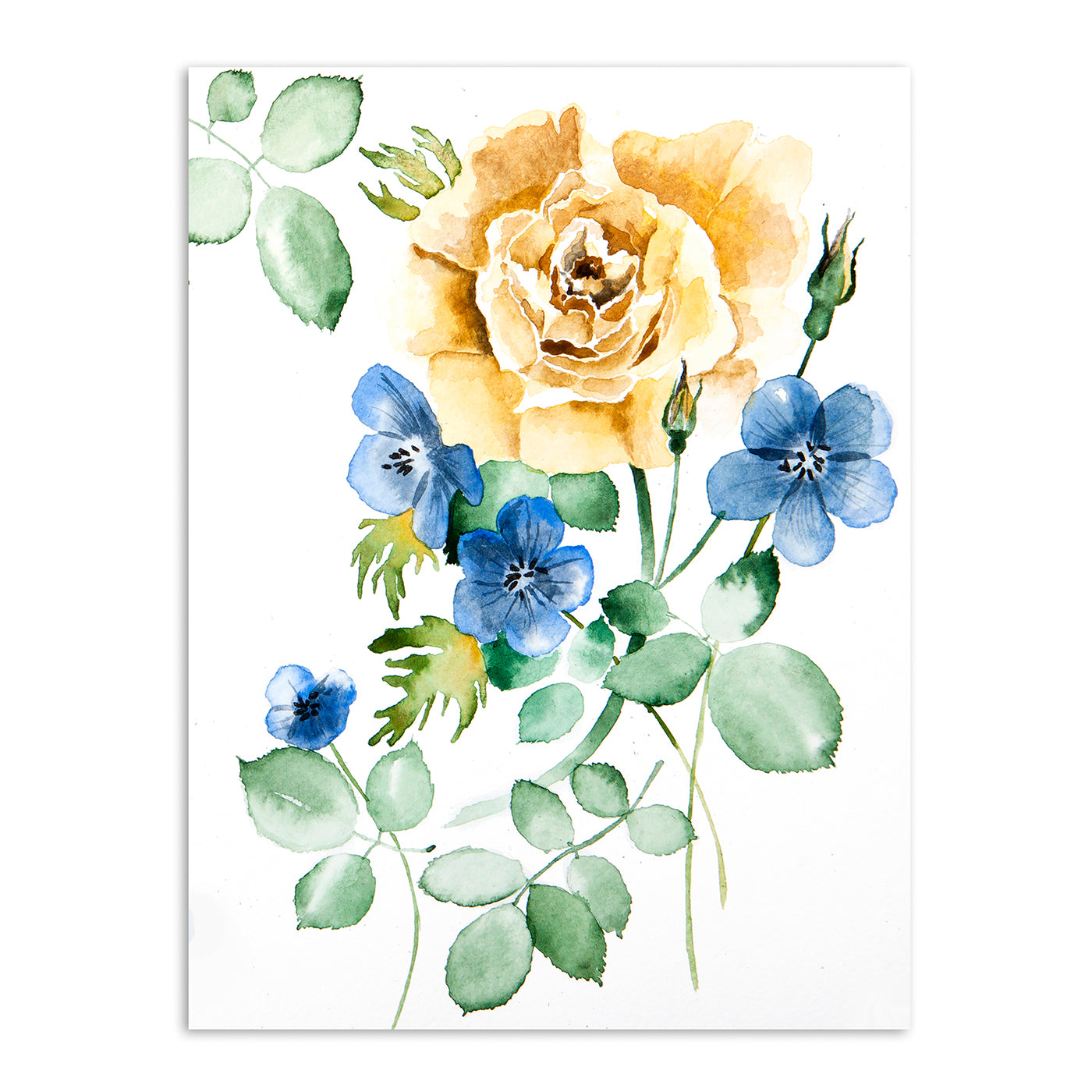 Watercolor Rose by New York Botanical Garden Art Print - Art Print - Americanflat