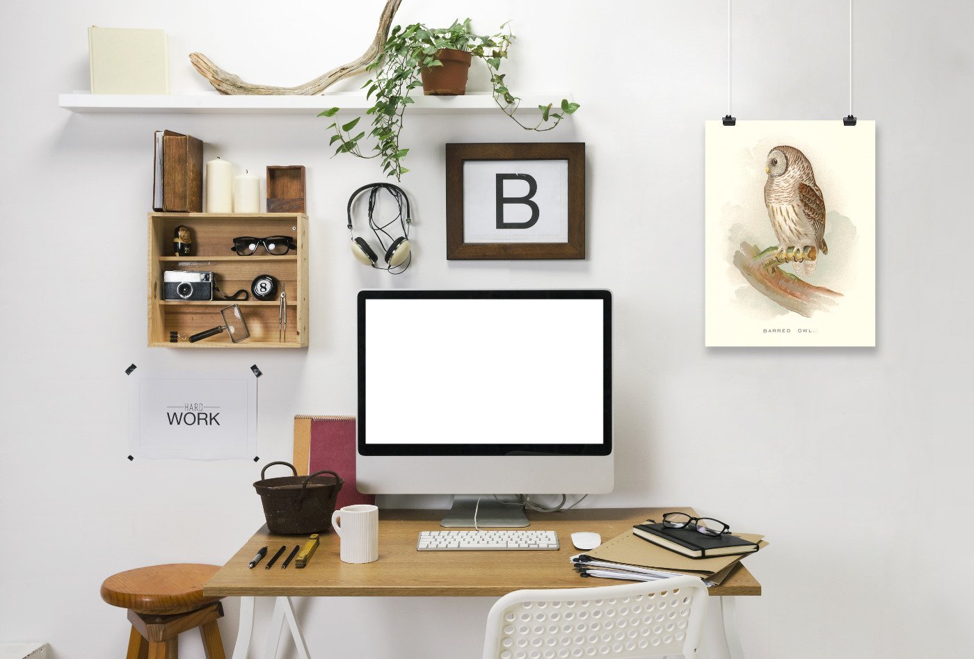 Barred Owl by Found Image Press Art Print - Art Print - Americanflat