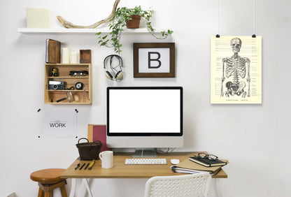 Bones Of The Trunk Anterior by Found Image Press Art Print - Art Print - Americanflat
