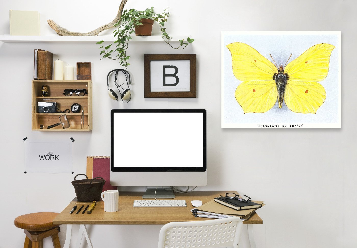 Brimstone Butterfly by Found Image Press Wrapped Canvas - Wrapped Canvas - Americanflat