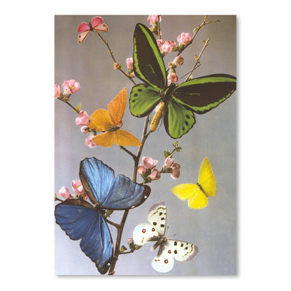Butterflies On A Branch by Found Image Press Art Print - Art Print - Americanflat