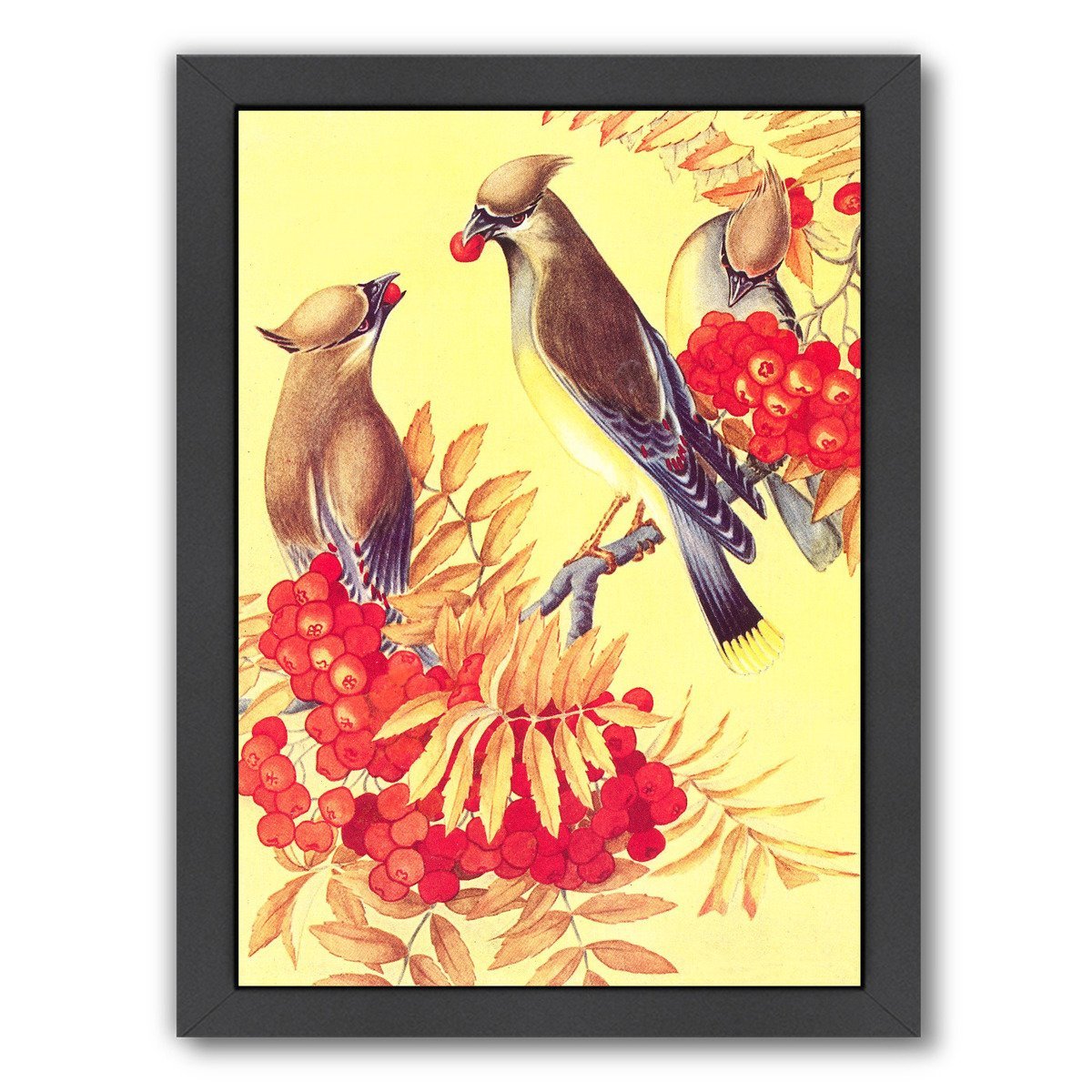 Cedar Waxwings by Found Image Press Framed Print - Americanflat