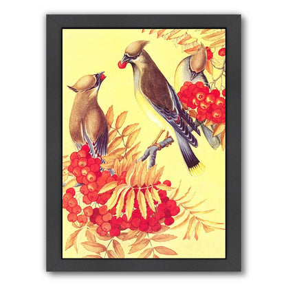 Cedar Waxwings by Found Image Press Framed Print - Americanflat