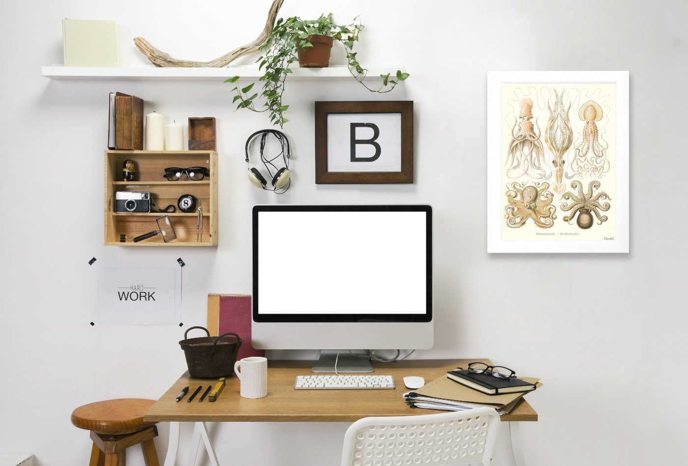 Cephalopods by Found Image Press Framed Print - Americanflat