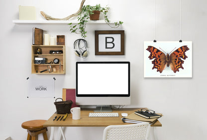 Comma Butterfly by Found Image Press Art Print - Art Print - Americanflat