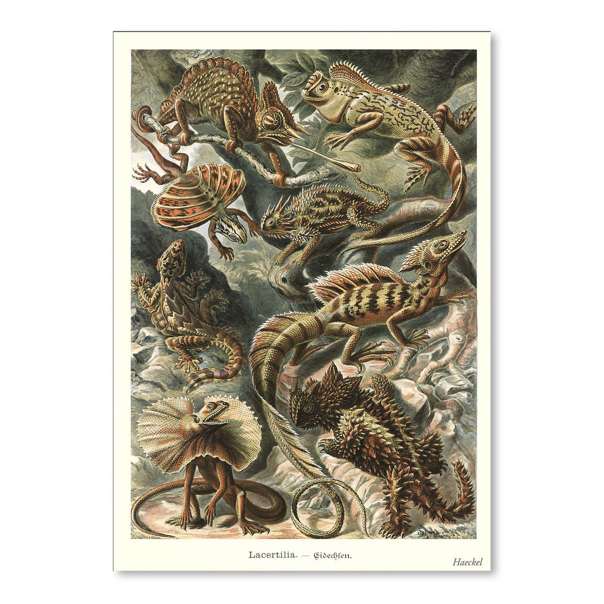 Lizards by Found Image Press Art Print - Art Print - Americanflat