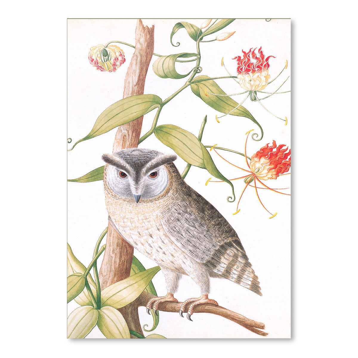 Pensive Owl by Found Image Press Art Print - Art Print - Americanflat