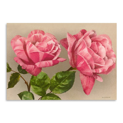 Pink Roses by Found Image Press Art Print - Art Print - Americanflat