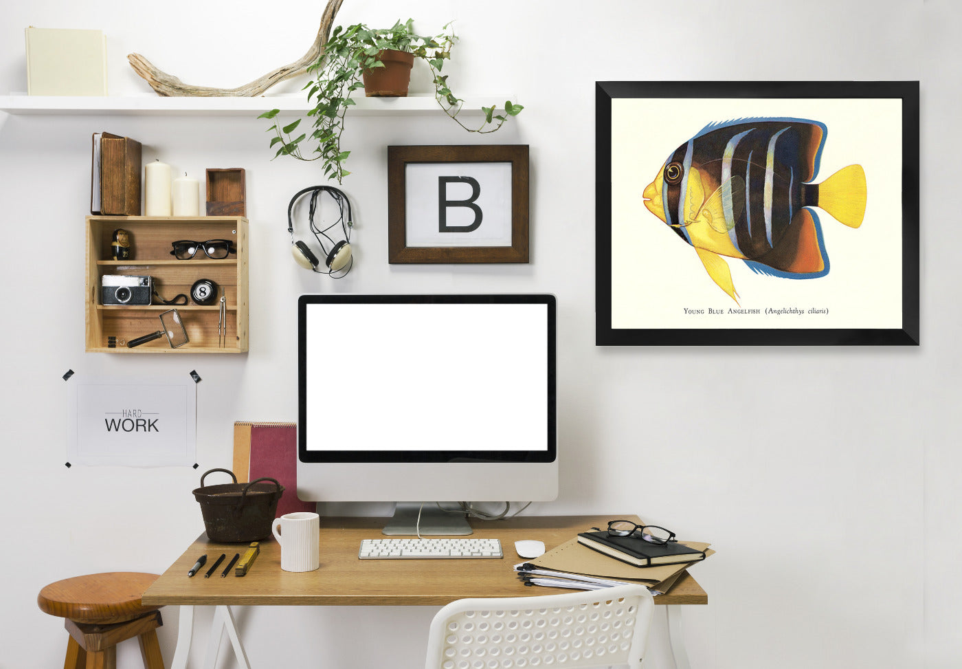 Young Blue Angelfish by Found Image Press Framed Print - Americanflat
