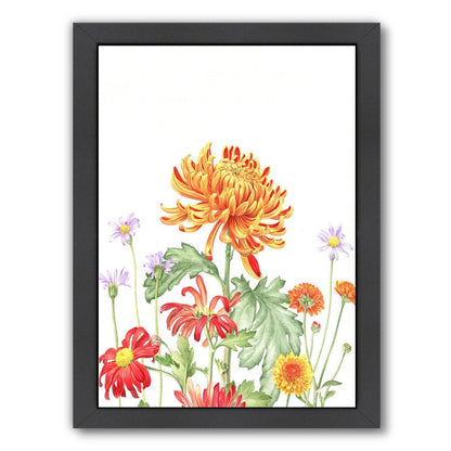 Chrysanthemum Card by Elizabeth Hellman Framed Print - Americanflat