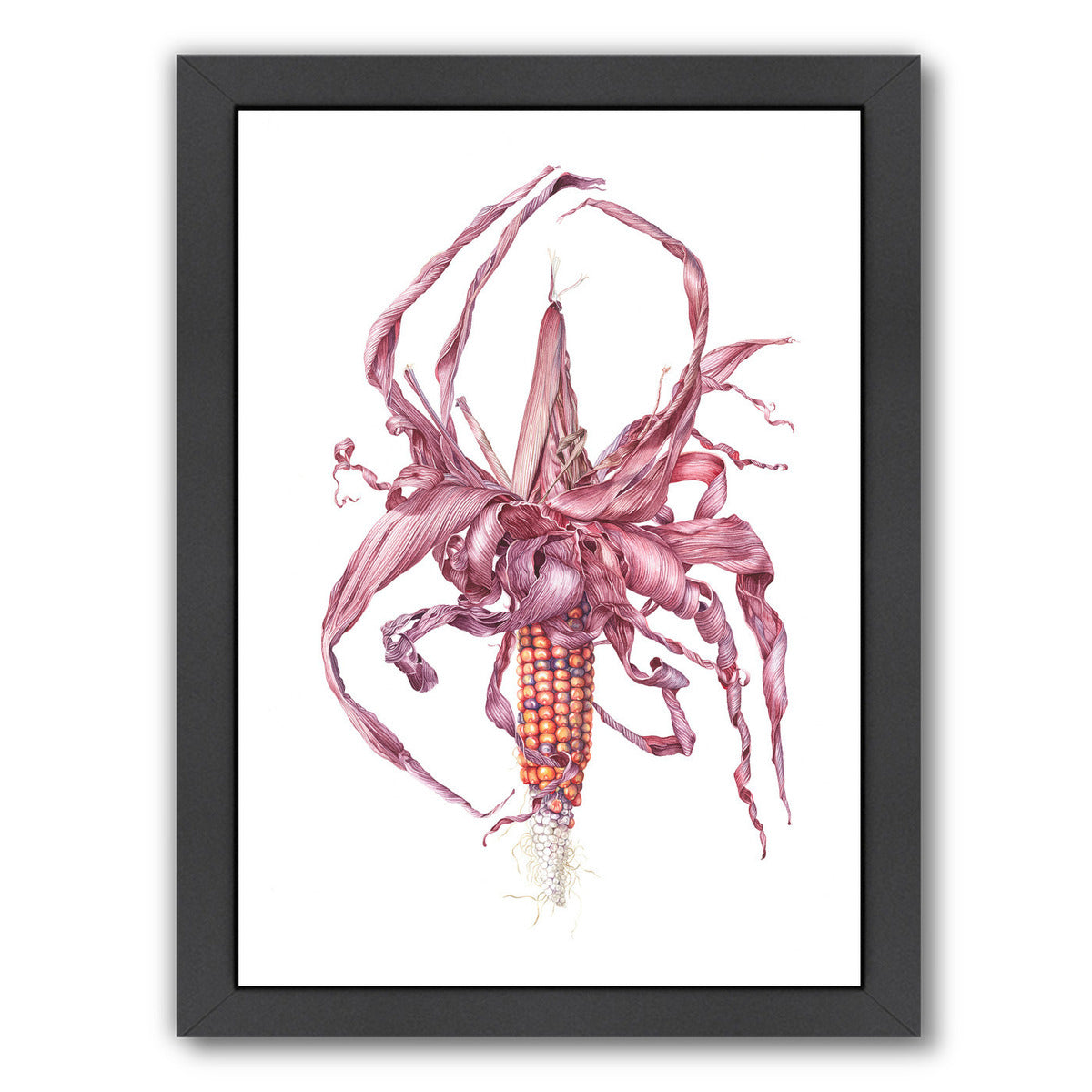 Fiesta Ornamental Maize by Elizabeth Hellman Framed Print - Americanflat