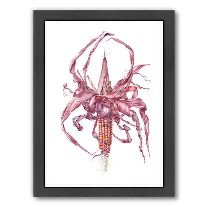 Fiesta Ornamental Maize by Elizabeth Hellman Framed Print - Americanflat