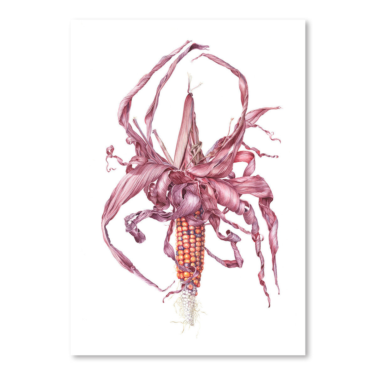 Fiesta Ornamental Maize by Elizabeth Hellman Art Print - Art Print - Americanflat