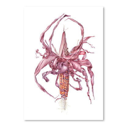 Fiesta Ornamental Maize by Elizabeth Hellman Art Print - Art Print - Americanflat