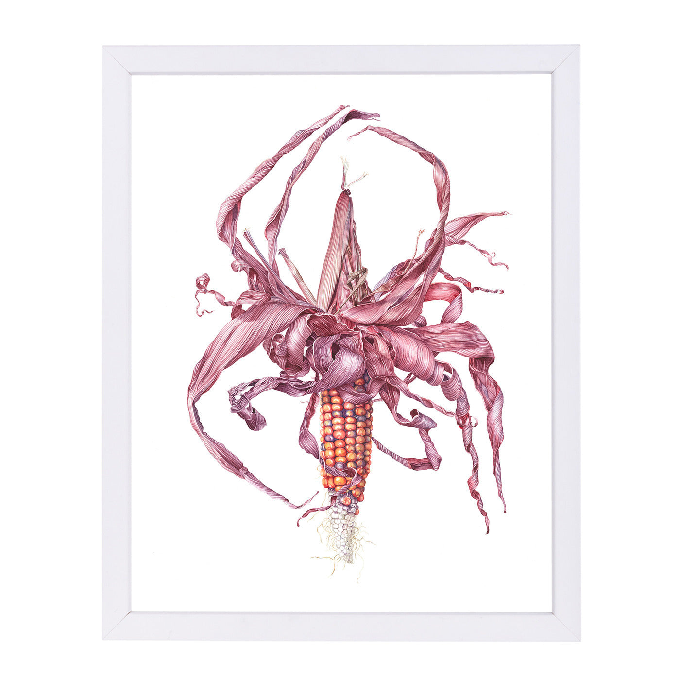 Fiesta Ornamental Maize by Elizabeth Hellman Framed Print - Americanflat