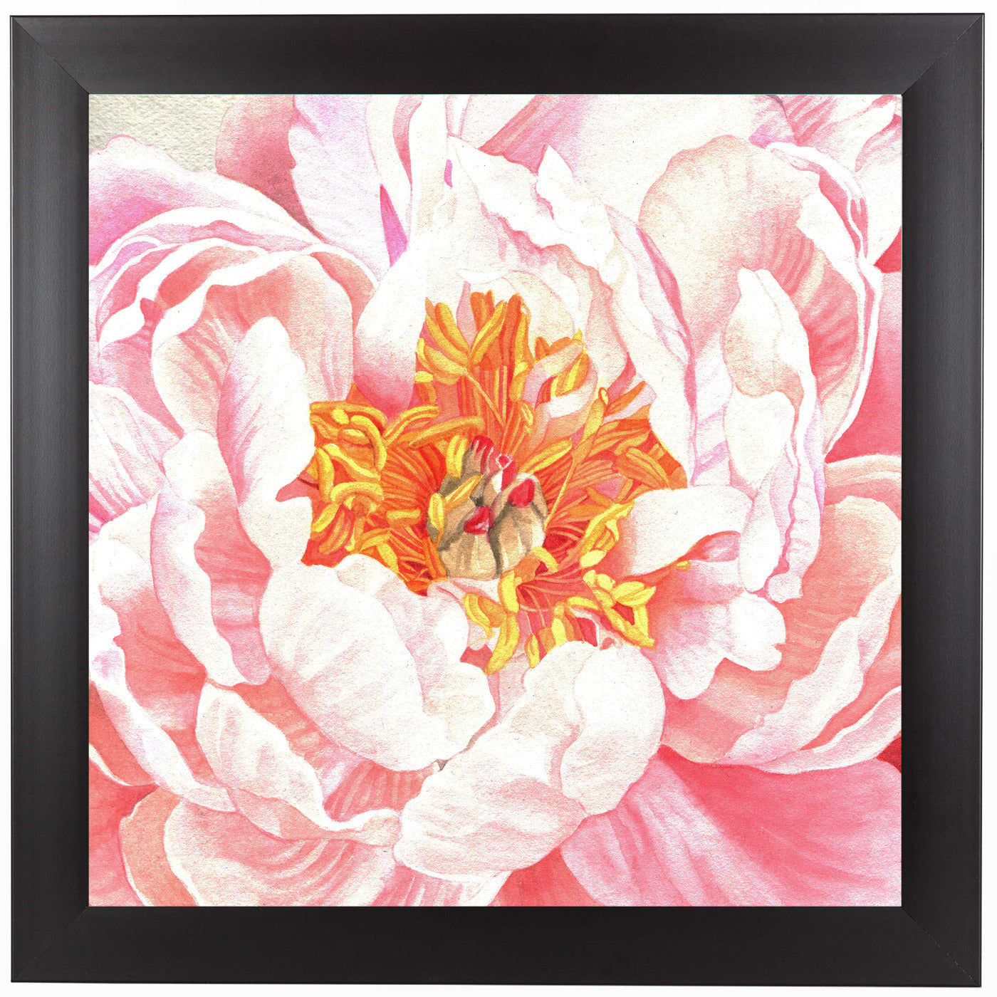 Large Peach Peony by Elizabeth Hellman Framed Print - Americanflat
