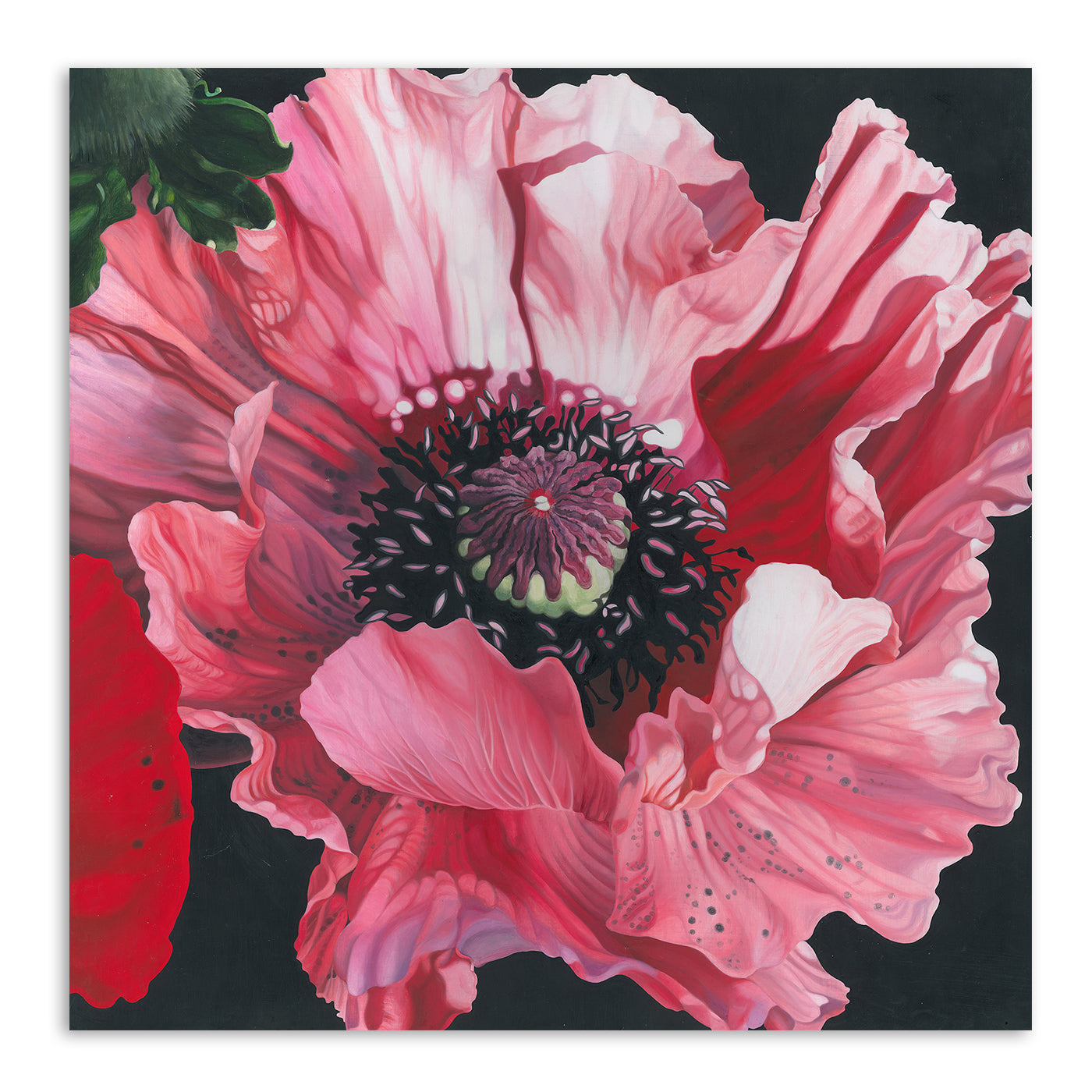 Oriental Poppy Elizabeth Hellman by Elizabeth Hellman Art Print - Art Print - Americanflat