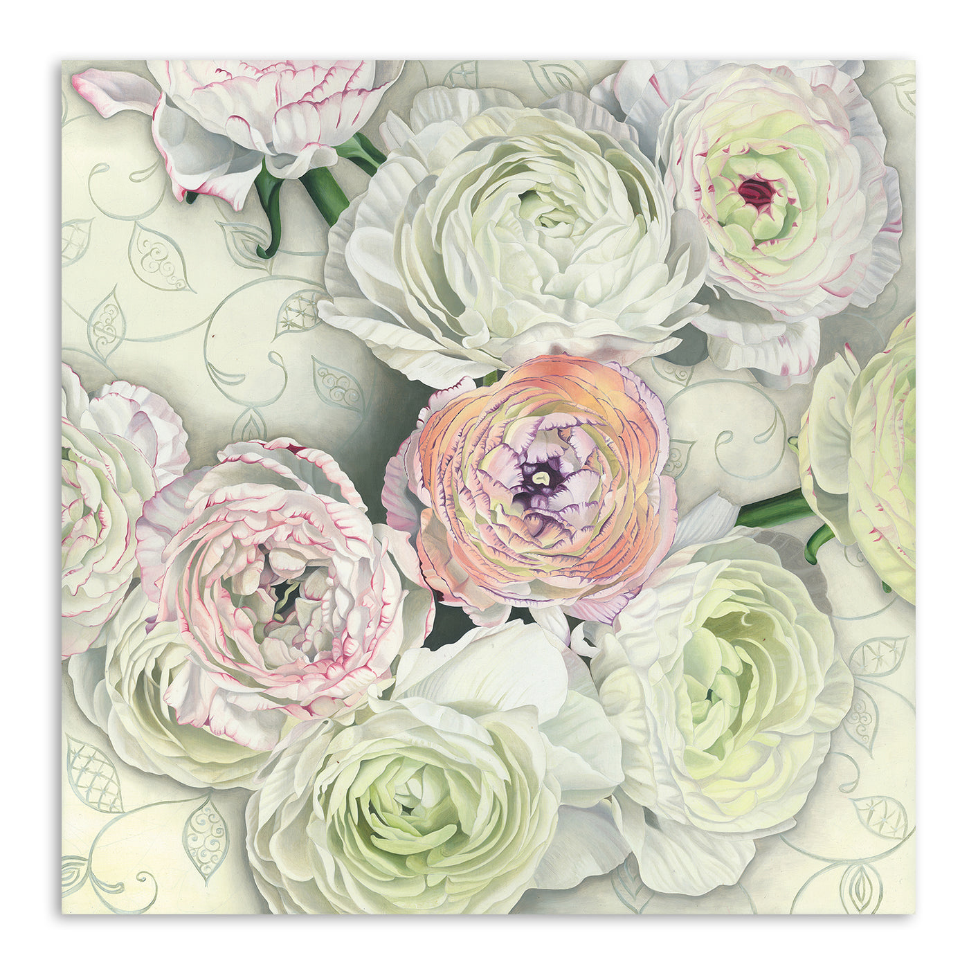 Ranunculus by Elizabeth Hellman Art Print - Art Print - Americanflat