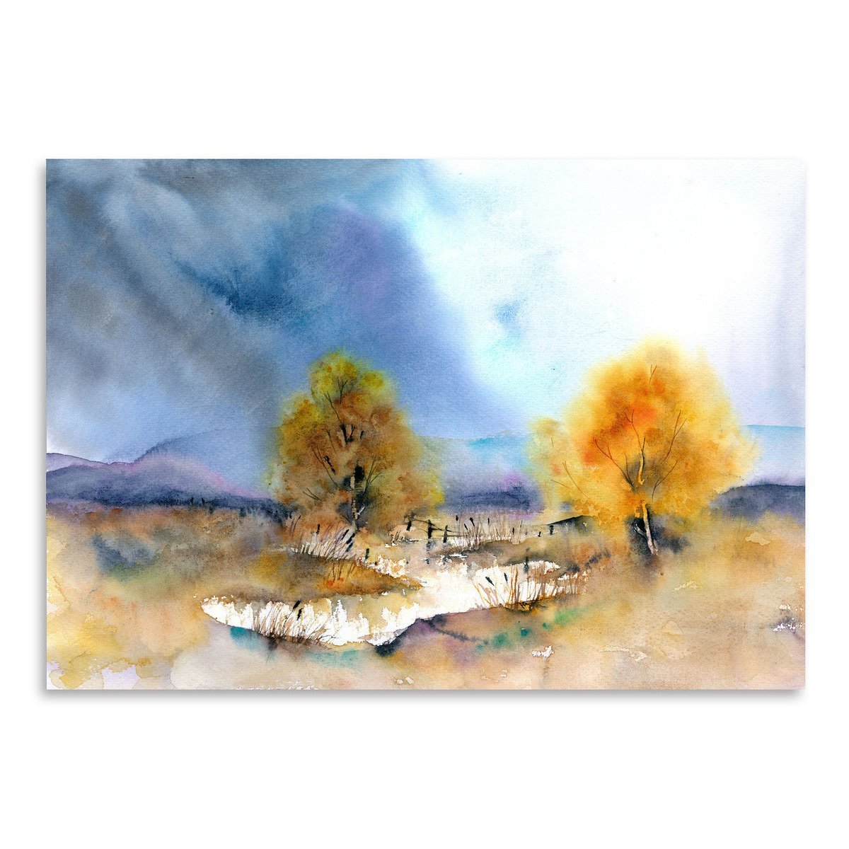 Autumn Sun by Rachel McNaughton Art Print - Art Print - Americanflat