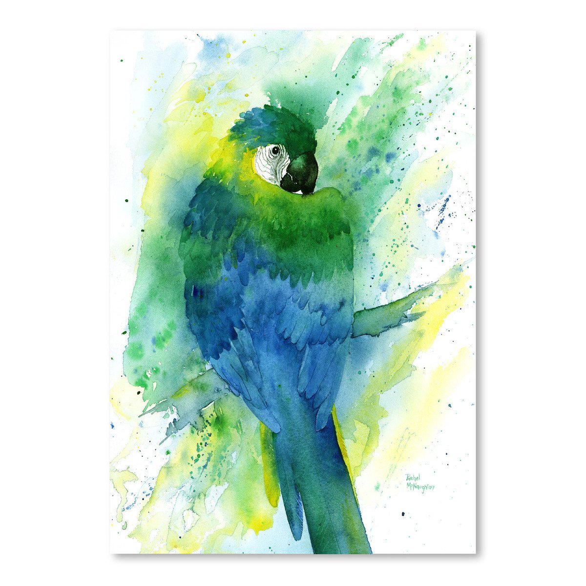 Blue Macaw by Rachel McNaughton Art Print - Art Print - Americanflat