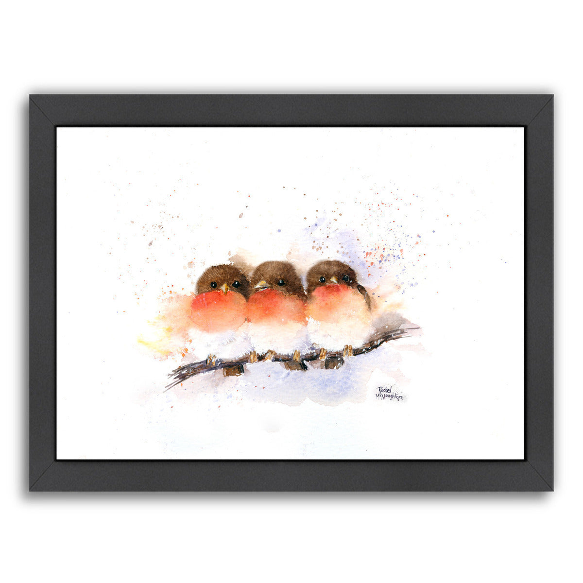 Cute Robins by Rachel McNaughton Framed Print - Americanflat