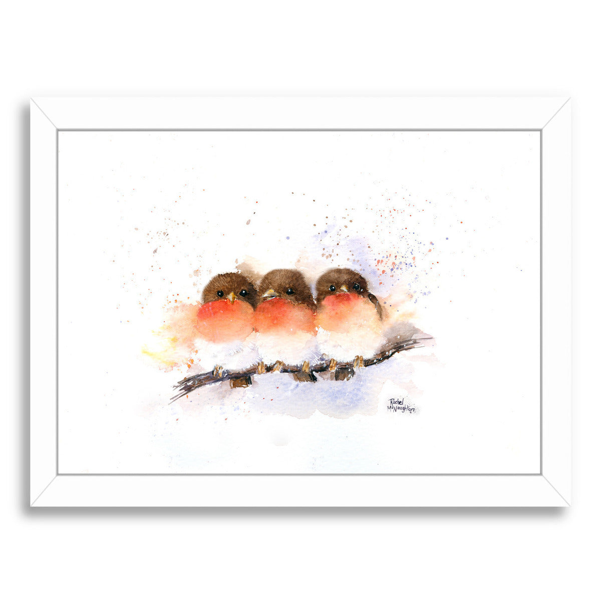 Cute Robins by Rachel McNaughton Framed Print - Americanflat