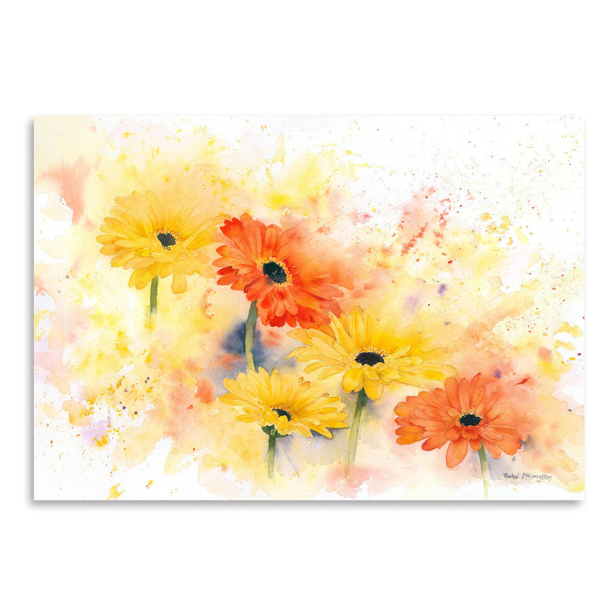 Gerbera by Rachel McNaughton Art Print - Art Print - Americanflat