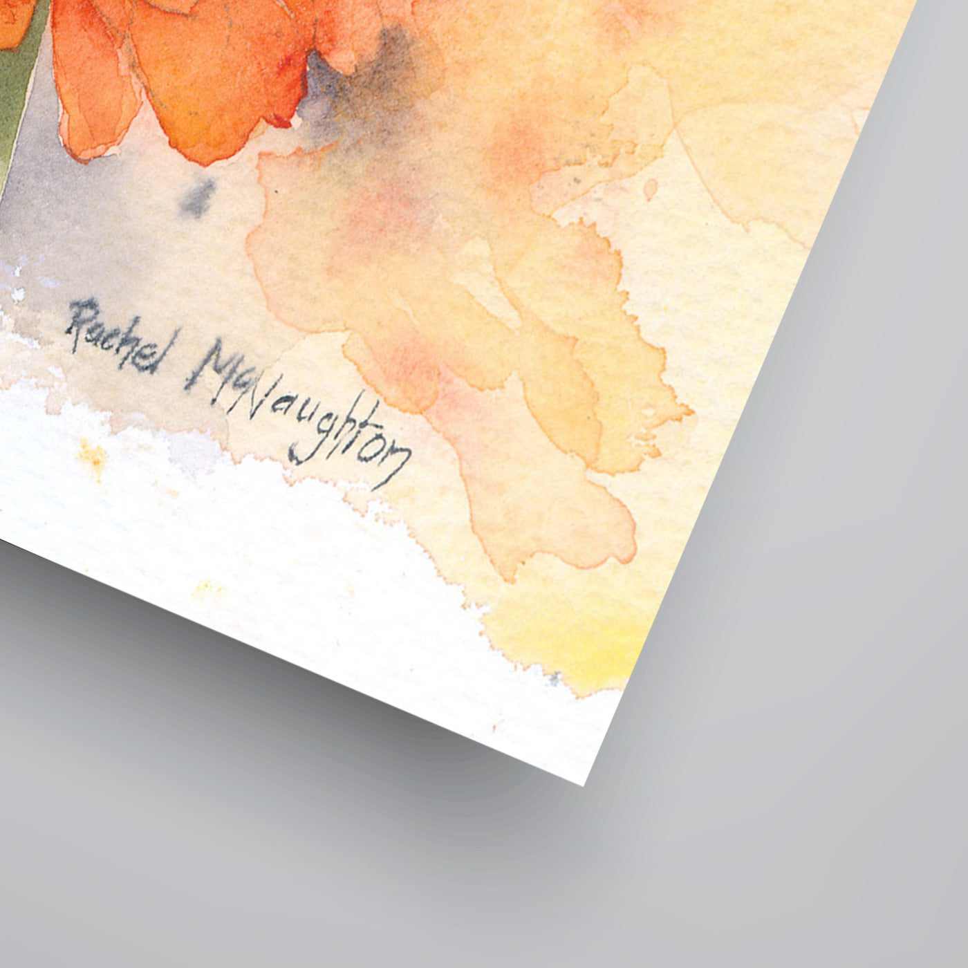 Gerbera by Rachel McNaughton Art Print - Art Print - Americanflat
