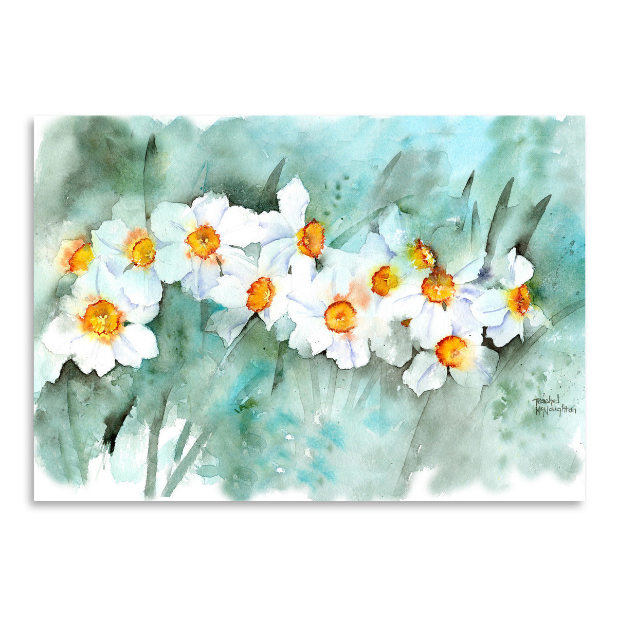 Narcissus In Line by Rachel McNaughton Art Print - Art Print - Americanflat
