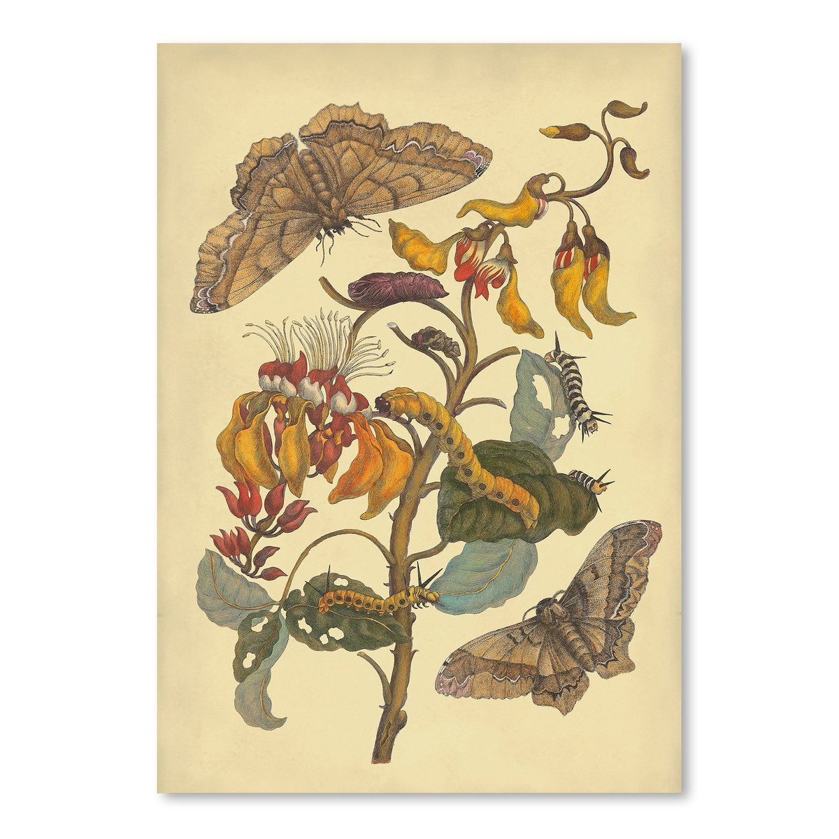 Bwm by Coastal Print & Design Art Print - Art Print - Americanflat