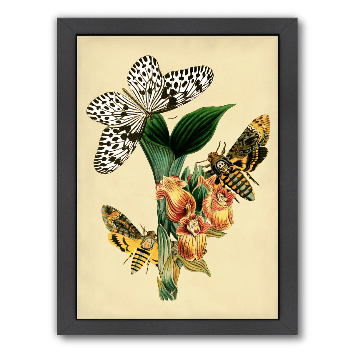Dhm by Coastal Print & Design Framed Print - Americanflat