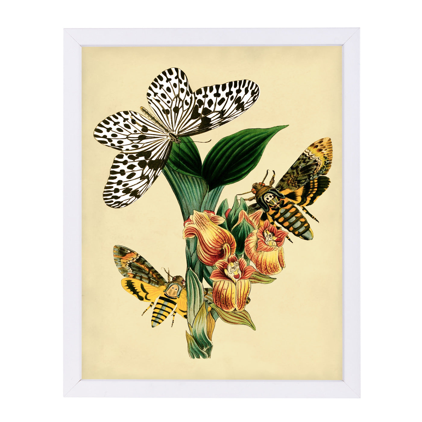 Dhm by Coastal Print & Design Framed Print - Americanflat
