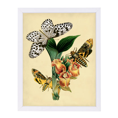 Dhm by Coastal Print & Design Framed Print - Americanflat