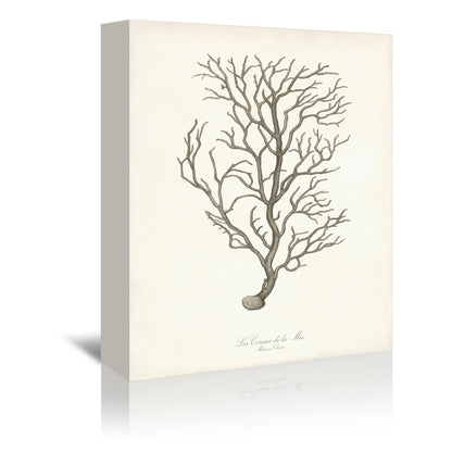 Greige Branch by Coastal Print & Design Wrapped Canvas - Wrapped Canvas - Americanflat