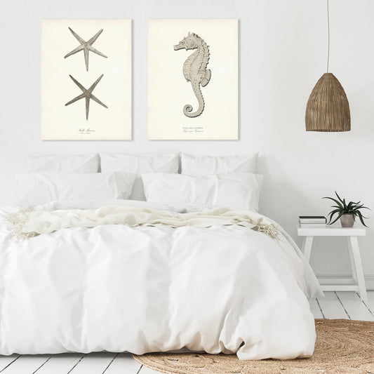 Greige Sea Horse by Adam's Ale - 2 Piece Wrapped Canvas Set - Americanflat