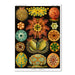 Haeckel Plate 84 by Coastal Print & Design Art Print - Art Print - Americanflat