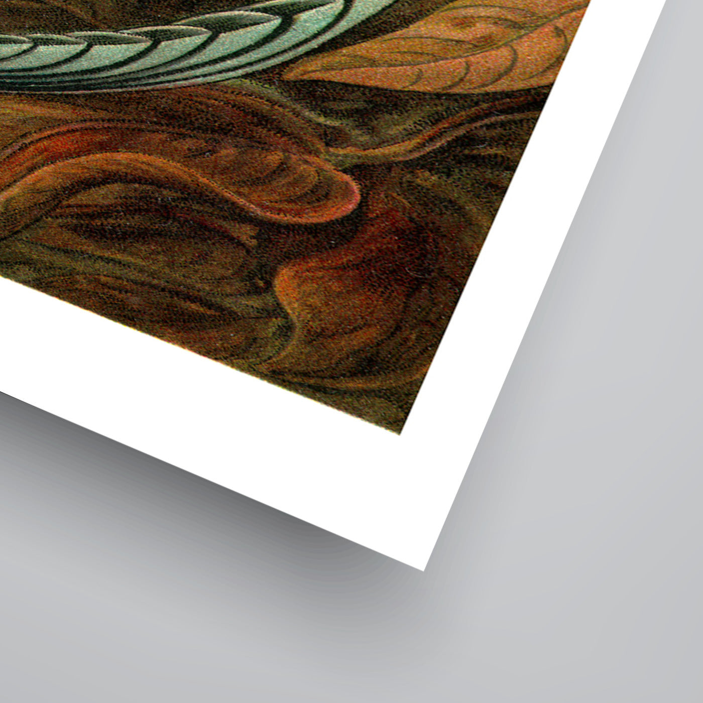 Haeckel Plate 99 by Coastal Print & Design Art Print - Art Print - Americanflat