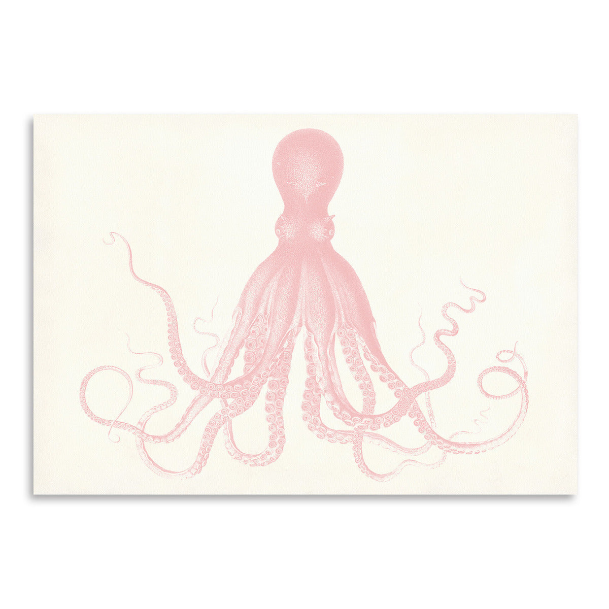 Quartz Pink Octopus by Coastal Print & Design Art Print - Art Print - Americanflat